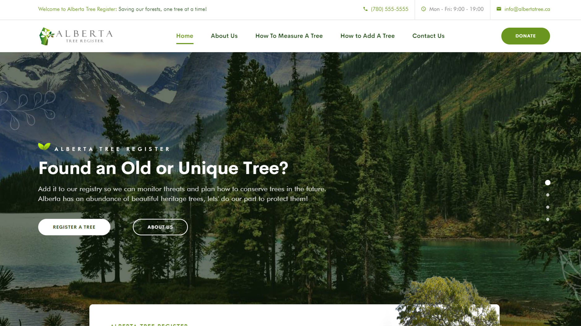 Website Design - Alberta Tree